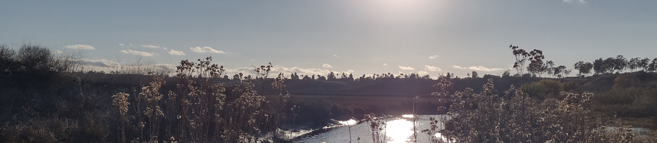 Positively Editorial