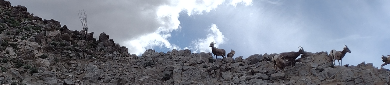 Positively Editorial