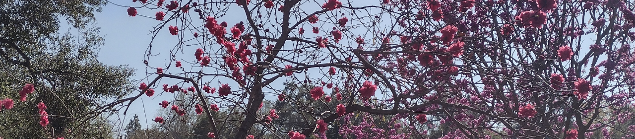 Positively Editorial