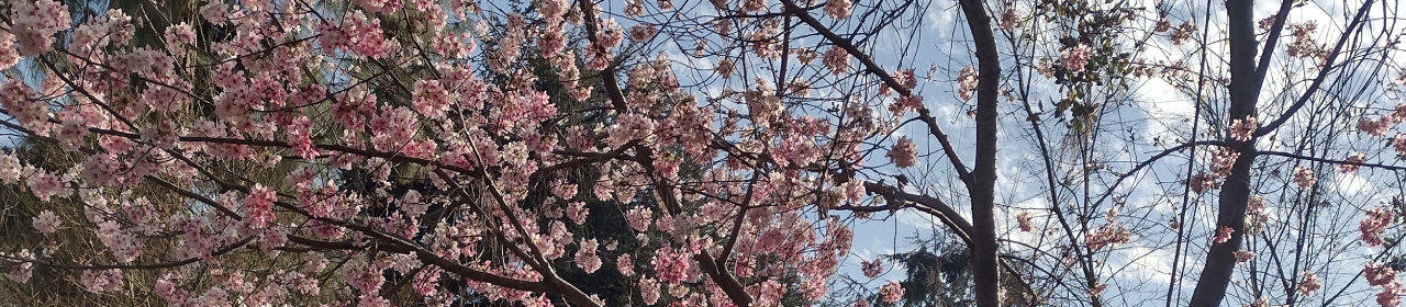 Positively Editorial