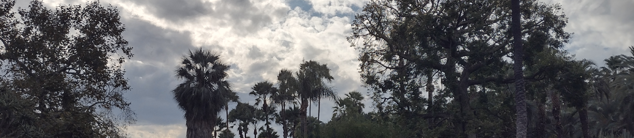 Positively Editorial