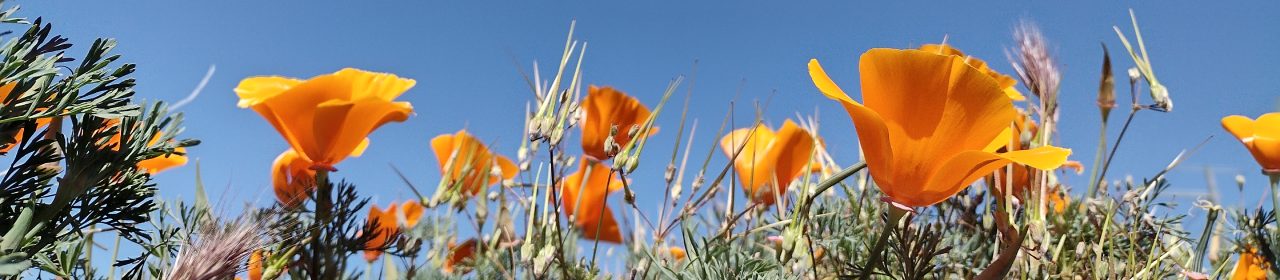 Positively Editorial