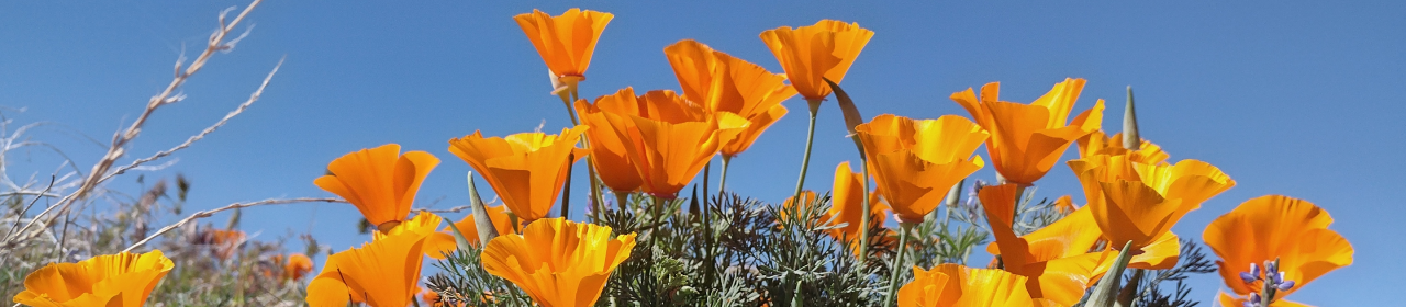 Positively Editorial