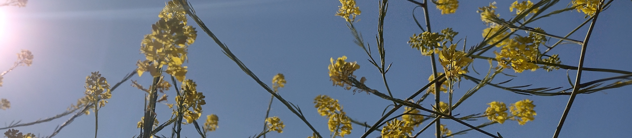 Positively Editorial