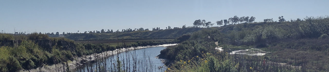 Positively Editorial