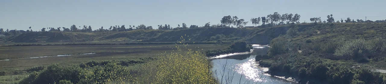 Positively Editorial