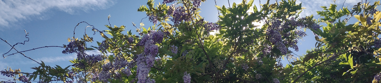 Positively Editorial