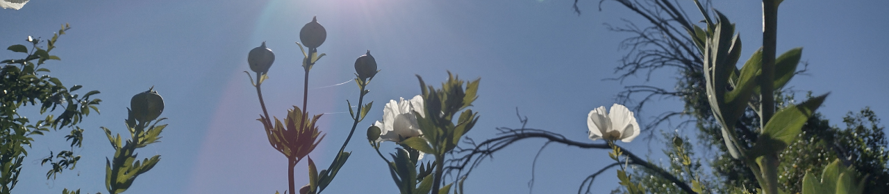 Positively Editorial